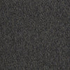 Franchise Ii 26 Epbl Residential Carpet by Philadelphia Commercial in the color Black Diamond. Sample of grays carpet pattern and texture.