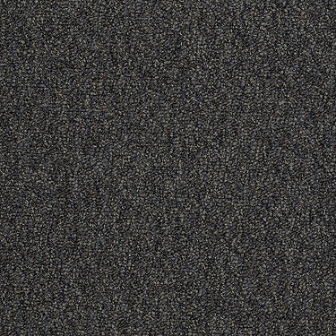 Franchise Ii 26 Epbl Residential Carpet by Philadelphia Commercial in the color Black Diamond. Sample of grays carpet pattern and texture.