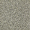 Franchise Ii 26 Epbl Residential Carpet by Philadelphia Commercial in the color Brazed Steel. Sample of grays carpet pattern and texture.