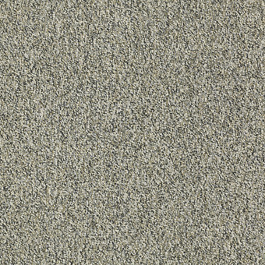 Franchise Ii 26 Epbl Residential Carpet by Philadelphia Commercial in the color Brazed Steel. Sample of grays carpet pattern and texture.