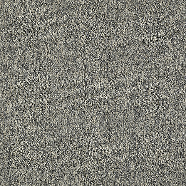 Franchise Ii 26 Epbl Residential Carpet by Philadelphia Commercial in the color Meteor Stone. Sample of grays carpet pattern and texture.