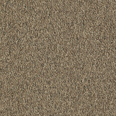 Franchise Ii 26 Epbl Residential Carpet by Philadelphia Commercial in the color Bedrock. Sample of browns carpet pattern and texture.