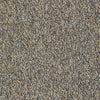 Franchise Ii 26 Epbl Residential Carpet by Philadelphia Commercial in the color Riverrock. Sample of browns carpet pattern and texture.