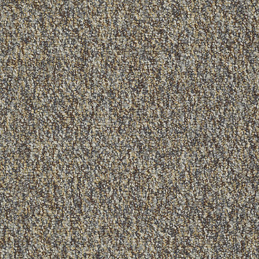 Franchise Ii 26 Epbl Residential Carpet by Philadelphia Commercial in the color Riverrock. Sample of browns carpet pattern and texture.