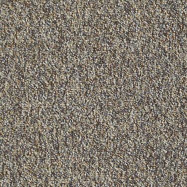 Franchise Ii 26 Epbl Residential Carpet by Philadelphia Commercial in the color Riverrock. Sample of browns carpet pattern and texture.