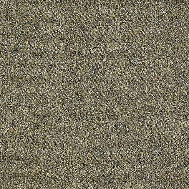 Franchise Ii 26 Epbl Residential Carpet by Philadelphia Commercial in the color Burlwood. Sample of browns carpet pattern and texture.