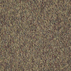 Franchise Ii 26 Epbl Residential Carpet by Philadelphia Commercial in the color Fruitwood. Sample of browns carpet pattern and texture.