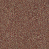 Franchise Ii 26 Epbl Residential Carpet by Philadelphia Commercial in the color Raisinberry. Sample of reds carpet pattern and texture.