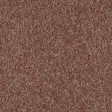 Franchise Ii 26 Epbl Residential Carpet by Philadelphia Commercial in the color Raisinberry. Sample of reds carpet pattern and texture.