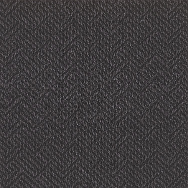 Tread On Me Commercial Carpet by Philadelphia Commercial in the color Graphite. Sample of grays carpet pattern and texture.
