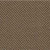 Tread On Me Commercial Carpet by Philadelphia Commercial in the color Mesa Brown. Sample of browns carpet pattern and texture.