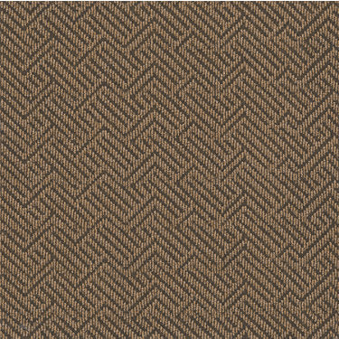 Tread On Me Commercial Carpet by Philadelphia Commercial in the color Mesa Brown. Sample of browns carpet pattern and texture.