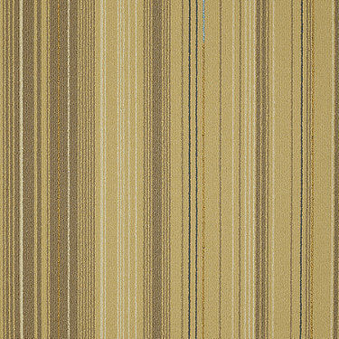 Infuse Commercial Carpet by Philadelphia Commercial in the color Groovy Gold. Sample of golds carpet pattern and texture.