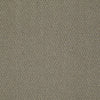 Remix Commercial Carpet by Philadelphia Commercial in the color Develop. Sample of browns carpet pattern and texture.