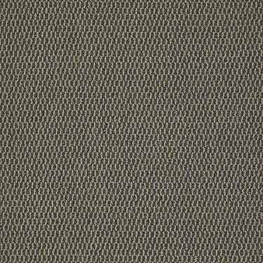 Remix Commercial Carpet by Philadelphia Commercial in the color Sharpen. Sample of browns carpet pattern and texture.
