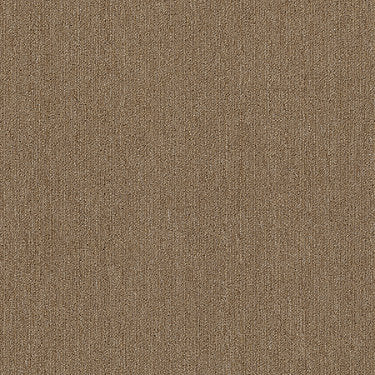 Neyland Iii 20 Residential Carpet by Philadelphia Commercial in the color Gold Rush. Sample of golds carpet pattern and texture.