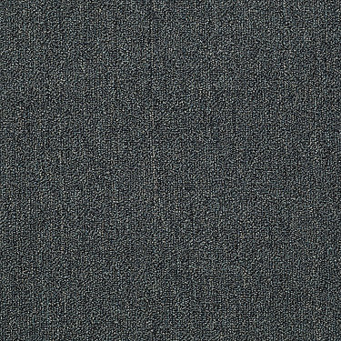 Neyland Iii 20 Residential Carpet by Philadelphia Commercial in the color Heritage Teal. Sample of greens carpet pattern and texture.