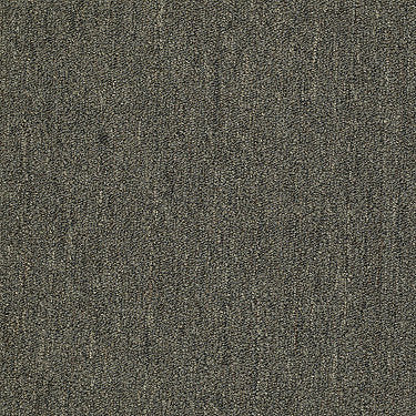 Neyland Iii 20 Residential Carpet by Philadelphia Commercial in the color Pinehurst. Sample of greens carpet pattern and texture.