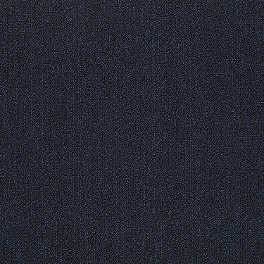 Neyland Iii 20 Residential Carpet by Philadelphia Commercial in the color Midnight  Waters. Sample of blues carpet pattern and texture.