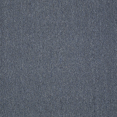 Neyland Iii 20 Residential Carpet by Philadelphia Commercial in the color Denim Blues. Sample of blues carpet pattern and texture.