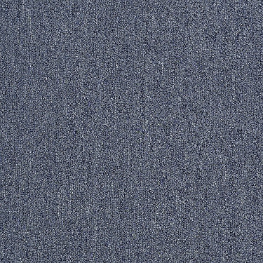 Neyland Iii 20 Residential Carpet by Philadelphia Commercial in the color Jetty. Sample of blues carpet pattern and texture.