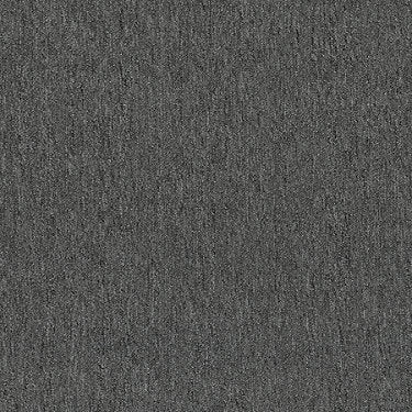 Neyland Iii 20 Residential Carpet by Philadelphia Commercial in the color Grindstone. Sample of grays carpet pattern and texture.