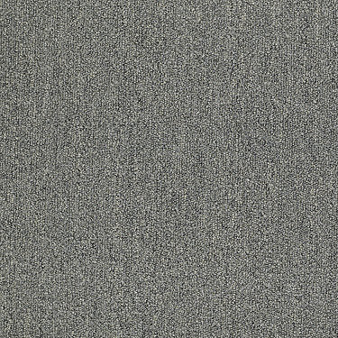 Neyland Iii 20 Residential Carpet by Philadelphia Commercial in the color Mercury. Sample of grays carpet pattern and texture.