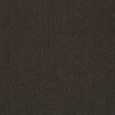 Neyland Iii 20 Residential Carpet by Philadelphia Commercial in the color Java Bean. Sample of browns carpet pattern and texture.