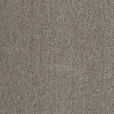 Neyland Iii 20 Residential Carpet by Philadelphia Commercial in the color Gingersnap. Sample of browns carpet pattern and texture.