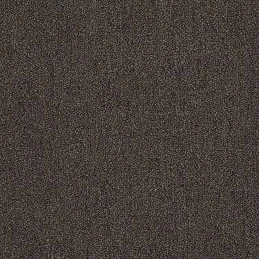 Neyland Iii 20 Residential Carpet by Philadelphia Commercial in the color Urban Legend. Sample of browns carpet pattern and texture.