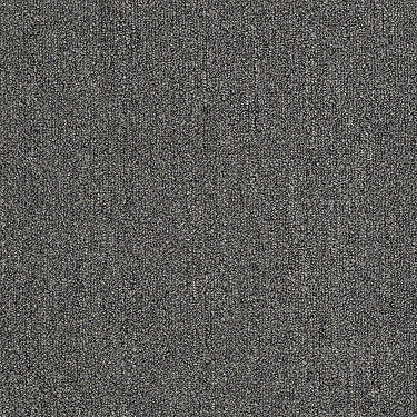 Neyland Iii 20 Residential Carpet by Philadelphia Commercial in the color Sugared Bronze. Sample of browns carpet pattern and texture.