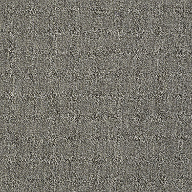 Neyland Iii 20 Residential Carpet by Philadelphia Commercial in the color Cool Umber. Sample of browns carpet pattern and texture.