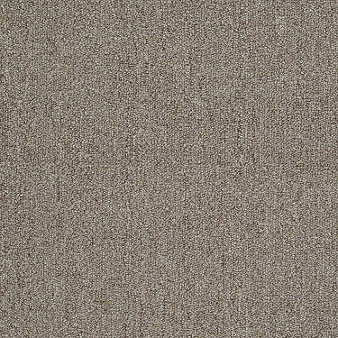 Neyland Iii 20 Residential Carpet by Philadelphia Commercial in the color Ritz Bitz. Sample of browns carpet pattern and texture.