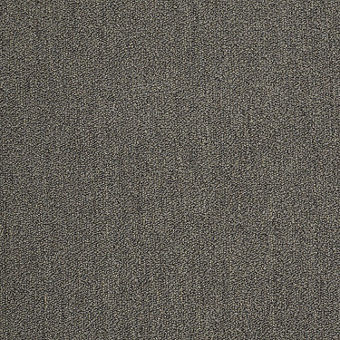 Neyland Iii 20 Residential Carpet by Philadelphia Commercial in the color Brushwood. Sample of browns carpet pattern and texture.