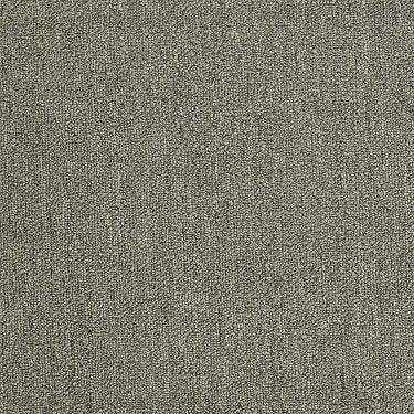 Neyland Iii 26 Residential Carpet by Philadelphia Commercial in the color Gold Spell. Sample of golds carpet pattern and texture.