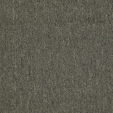 Neyland Iii 26 Residential Carpet by Philadelphia Commercial in the color Pinehurst. Sample of greens carpet pattern and texture.