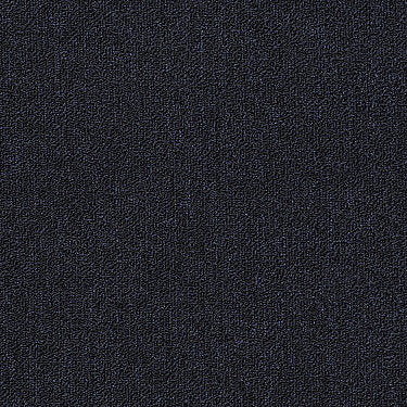 Neyland Iii 26 Residential Carpet by Philadelphia Commercial in the color Midnight  Waters. Sample of blues carpet pattern and texture.