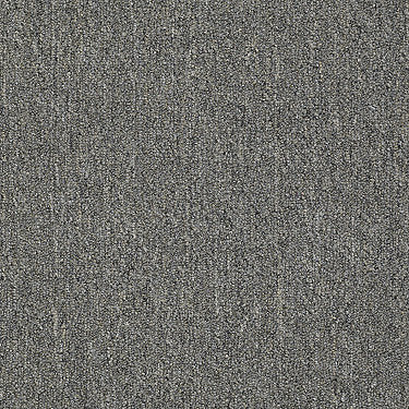 Neyland Iii 26 Residential Carpet by Philadelphia Commercial in the color Georgia Mist. Sample of grays carpet pattern and texture.