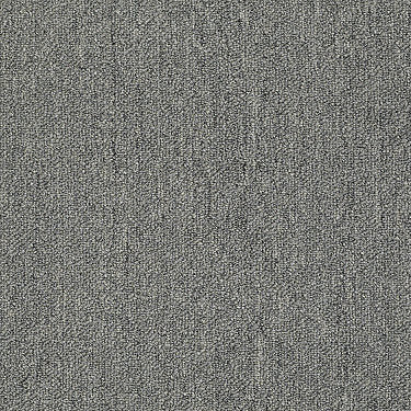 Neyland Iii 26 Residential Carpet by Philadelphia Commercial in the color Mercury. Sample of grays carpet pattern and texture.