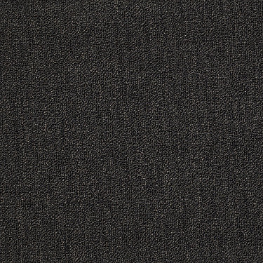 Neyland Iii 26 Residential Carpet by Philadelphia Commercial in the color Java Bean. Sample of browns carpet pattern and texture.