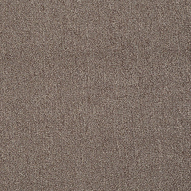 Neyland Iii 26 Residential Carpet by Philadelphia Commercial in the color Ashen Tan. Sample of browns carpet pattern and texture.
