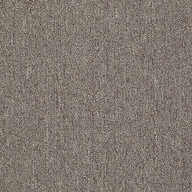 Neyland Iii 26 Residential Carpet by Philadelphia Commercial in the color Gingersnap. Sample of browns carpet pattern and texture.