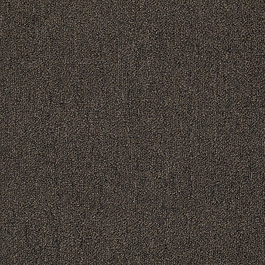 Neyland Iii 26 Residential Carpet by Philadelphia Commercial in the color Urban Legend. Sample of browns carpet pattern and texture.