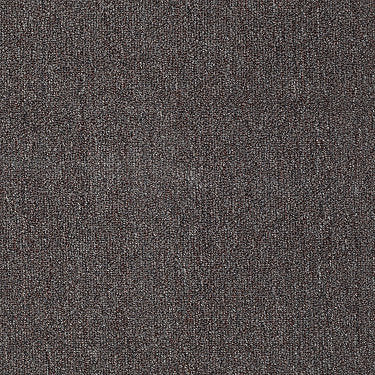 Neyland Iii 26 Residential Carpet by Philadelphia Commercial in the color Cedar Chest. Sample of browns carpet pattern and texture.