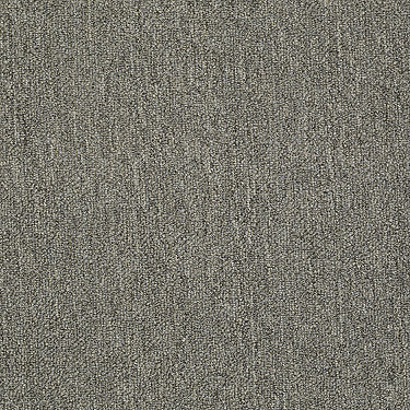 Neyland Iii 26 Residential Carpet by Philadelphia Commercial in the color Cool Umber. Sample of browns carpet pattern and texture.