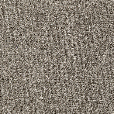 Neyland Iii 26 Residential Carpet by Philadelphia Commercial in the color Ritz Bitz. Sample of browns carpet pattern and texture.