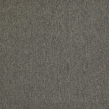 Neyland Iii 26 Residential Carpet by Philadelphia Commercial in the color Brushwood. Sample of browns carpet pattern and texture.