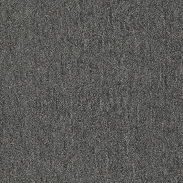 Neyland Iii 26 Unitary Residential Carpet by Philadelphia Commercial in the color Sugared Bronze. Sample of browns carpet pattern and texture.