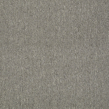 Neyland Iii 26 Unitary Residential Carpet by Philadelphia Commercial in the color Cool Umber. Sample of browns carpet pattern and texture.