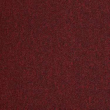 Neyland Iii 26 Unitary Residential Carpet by Philadelphia Commercial in the color Crimson Kiss. Sample of reds carpet pattern and texture.